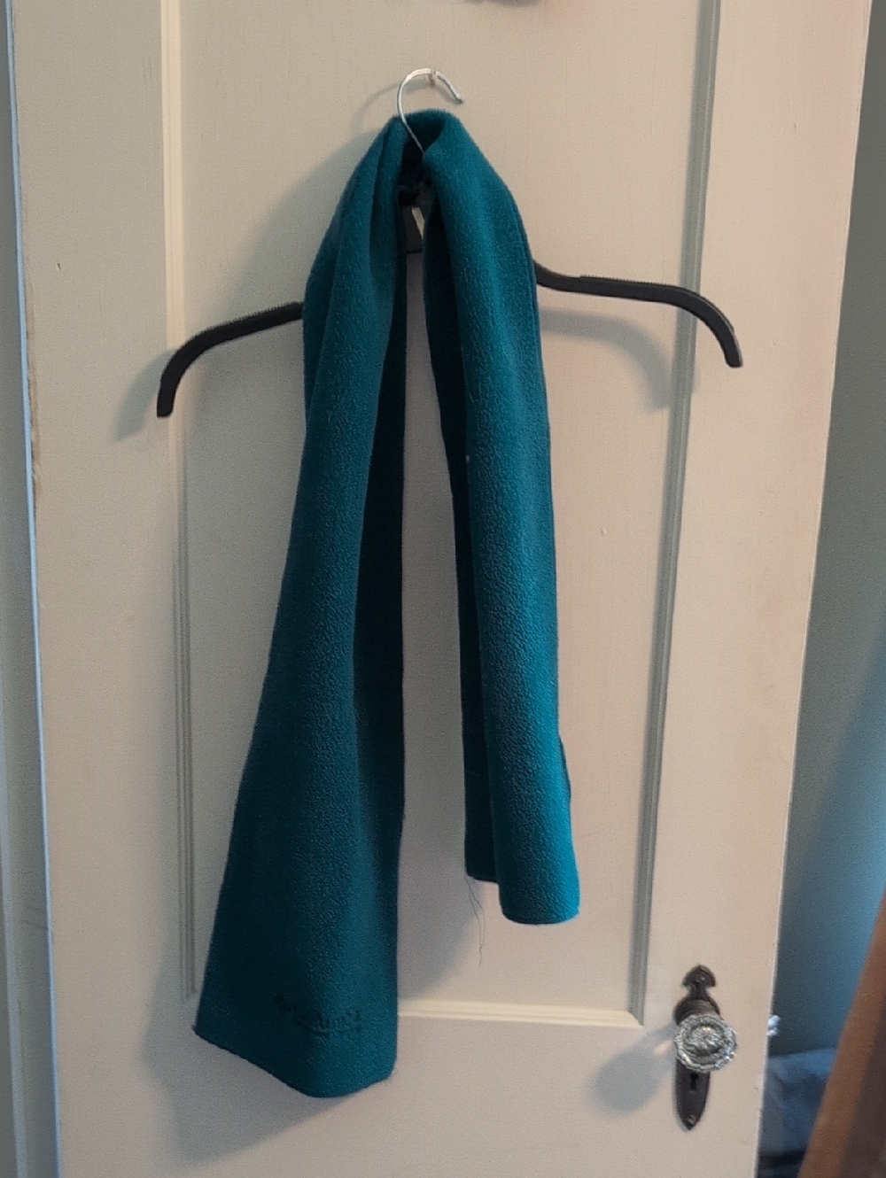 Teal Fleece Scarf